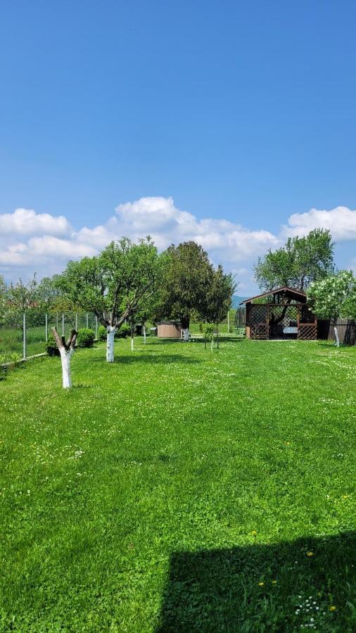 فيلا Casa Dana Rîşnov المظهر الخارجي الصورة